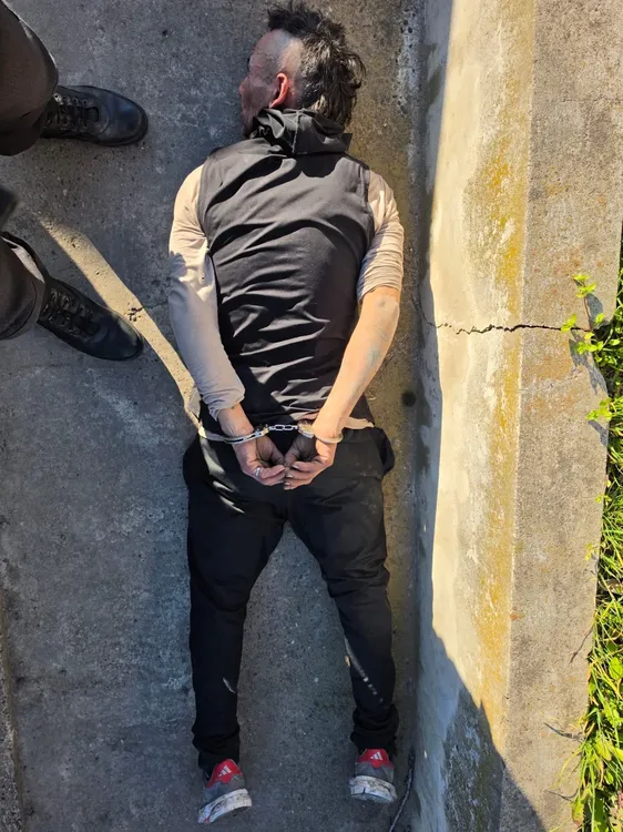 VIEDMA DETENIDO