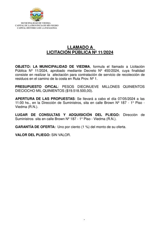 Licitacion-Pública-N°-11-2024