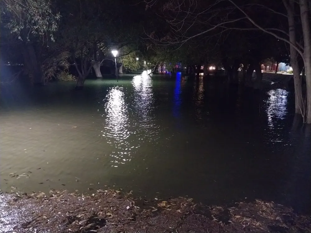 imagen_2025-06-23_120316143