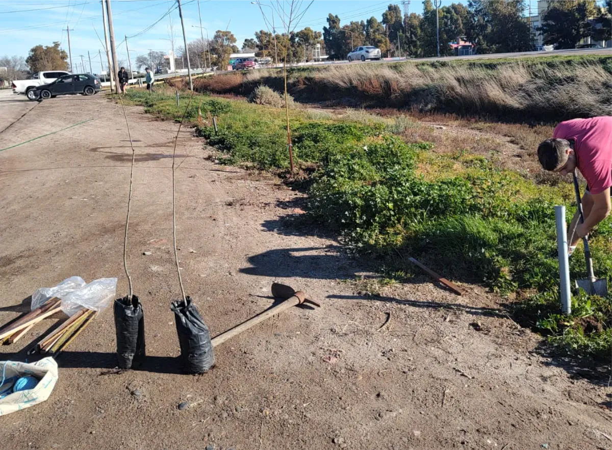 BARRIO SAN ROQUE, FORESTACION