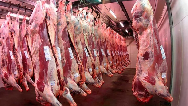 carnes carne frigorifico
