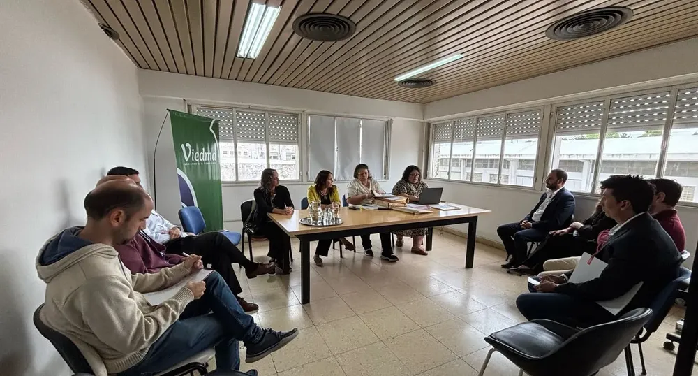 MUNICIPALIDAD, VIEDMA, LICITACION
