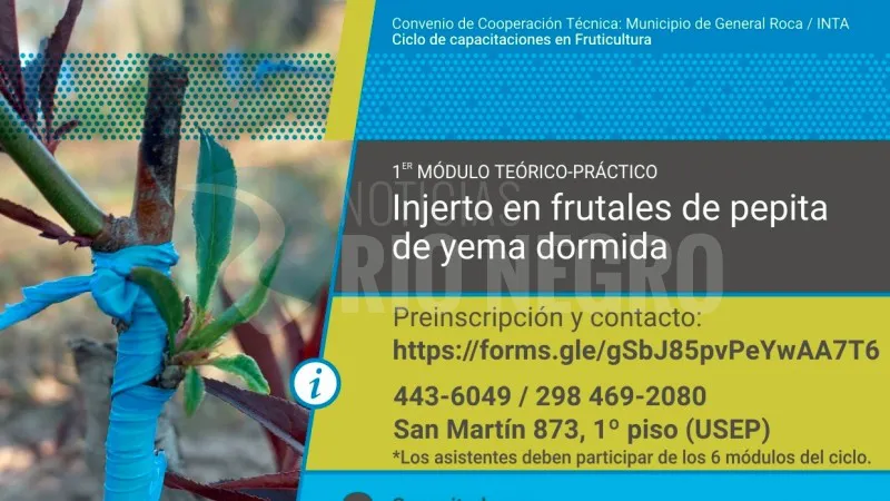 fruticultura